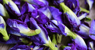 Butterfly pea flower: The secret to blue tea