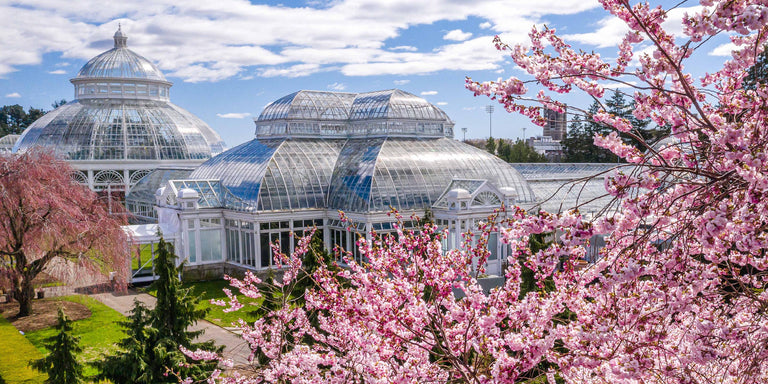 Behind the Scenes: Collaborating with The New York Botanical Garden