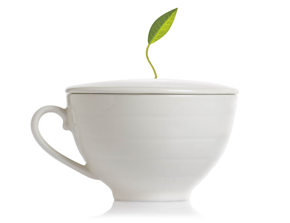Teaware Tea Accessories Tea Forte