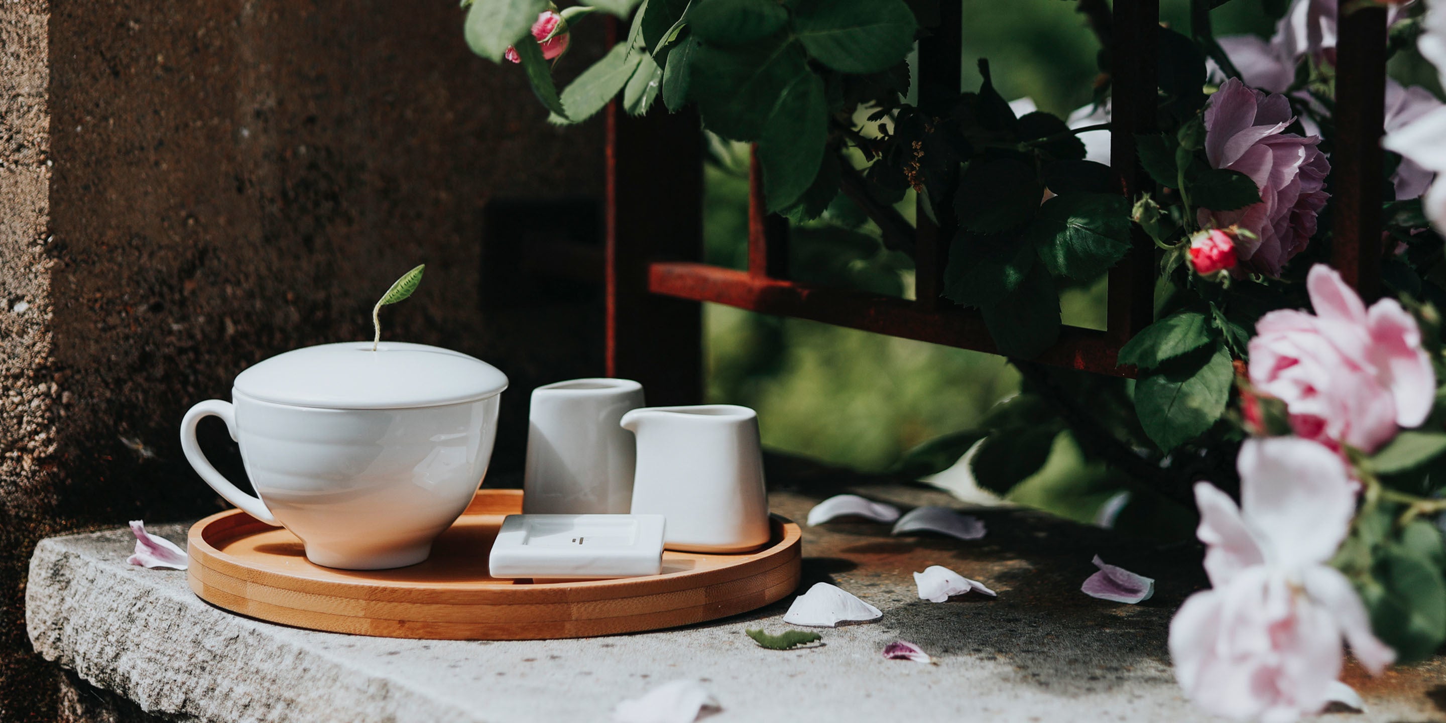 The Great Debate: Coffee vs. Tea