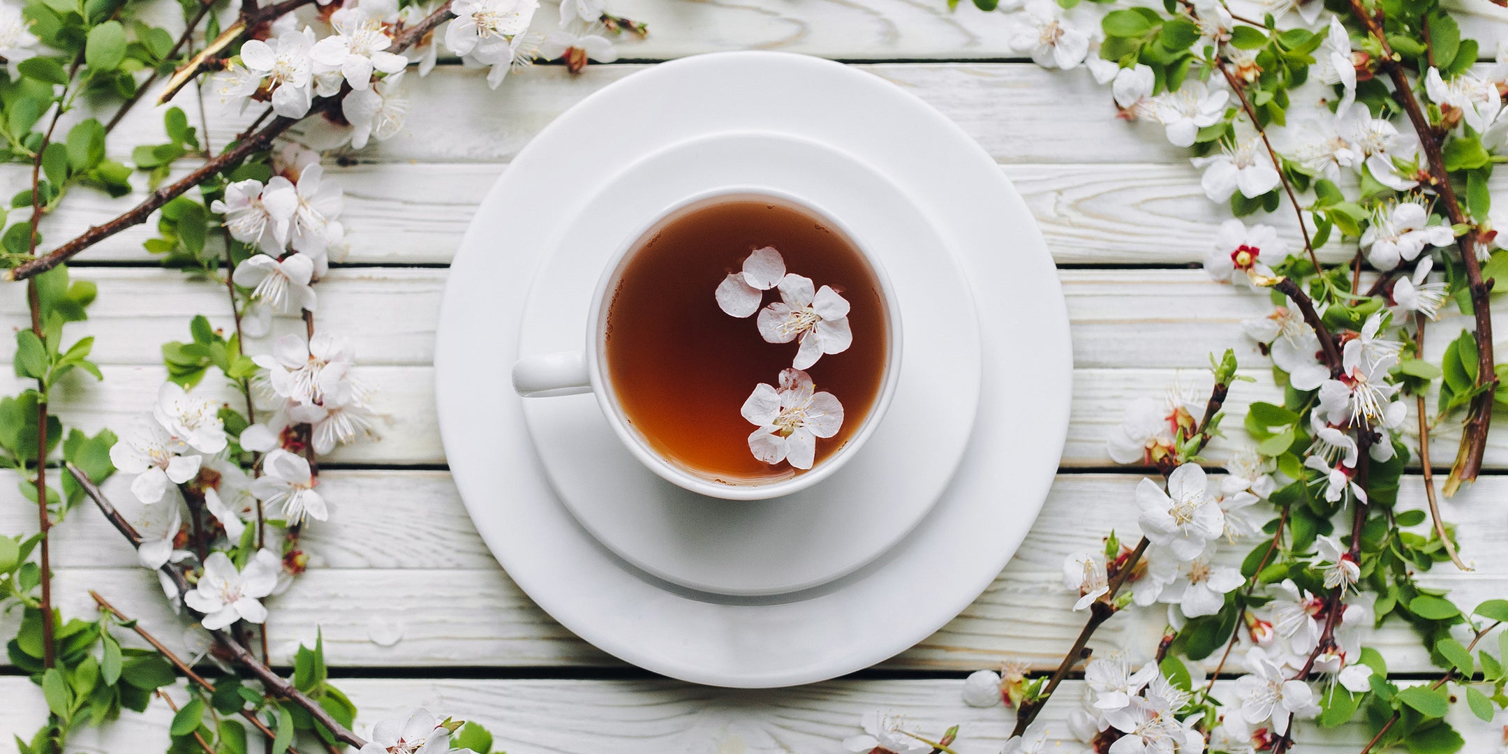 Tea Notes | Tea Forte