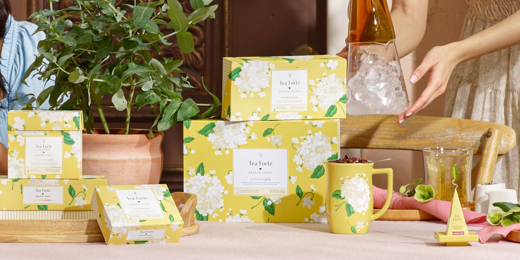 Introducing the Hydrangea Collection