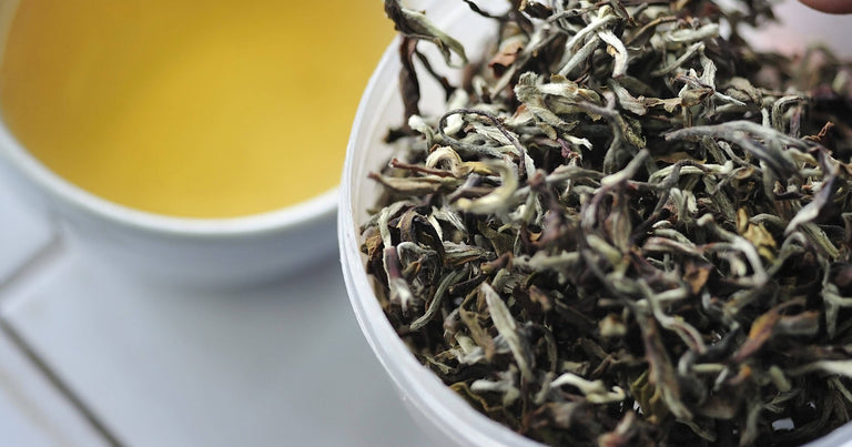 Darjeeling Green Tea in Tea Infusers, Petit Tea
