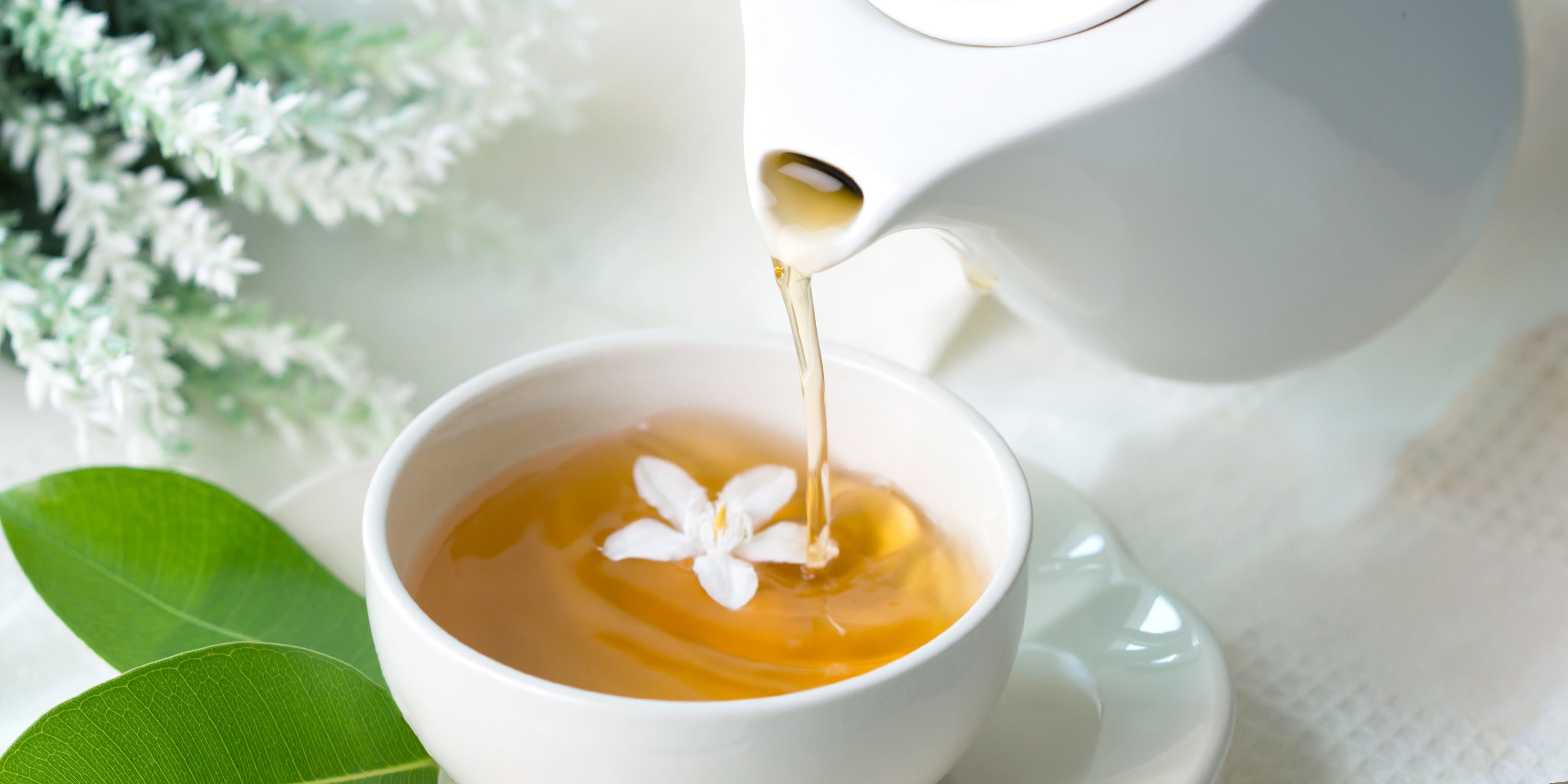 Organic Jasmine Green tea – TegaOrganicTea