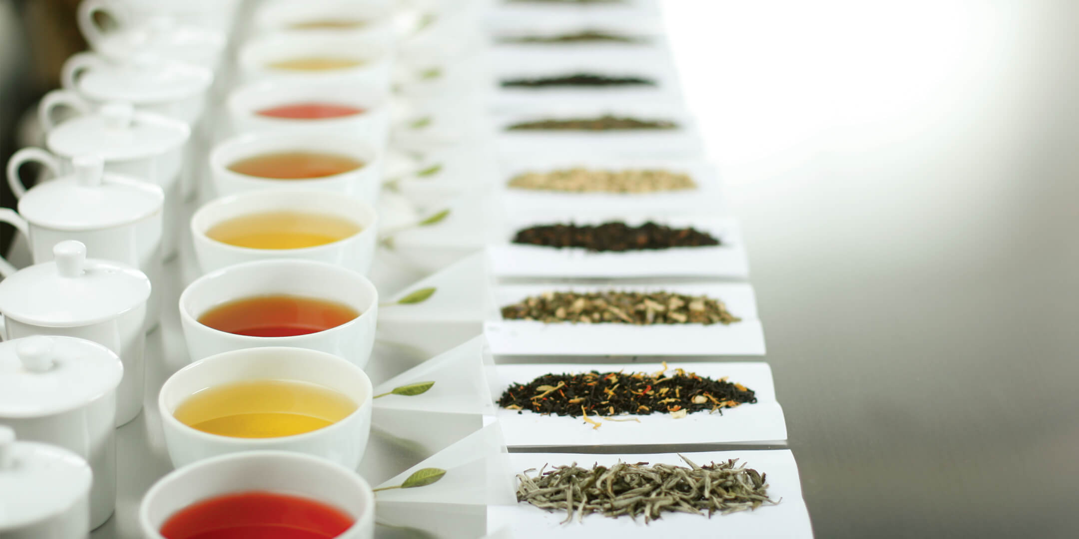 Rows of teacups and tea leaves for tasting