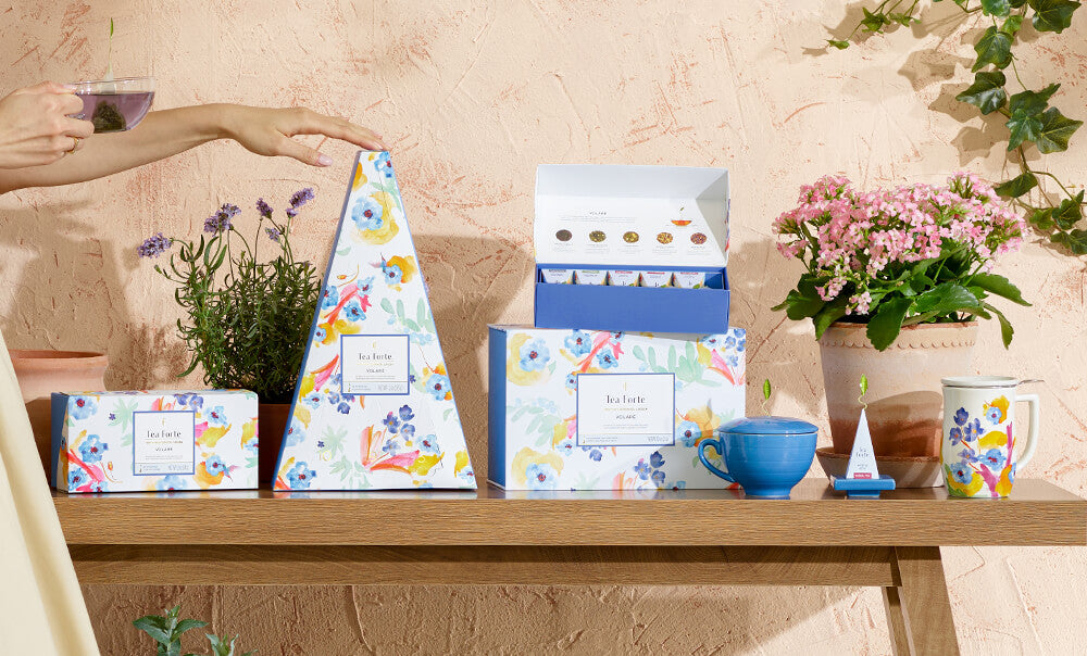The Volaré Collection against a stucco wall and arranged on a wooden table with plants and teacups