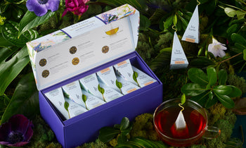 Demoiselle Presentation Box nestled among plants and flowers with a teacup and infusers