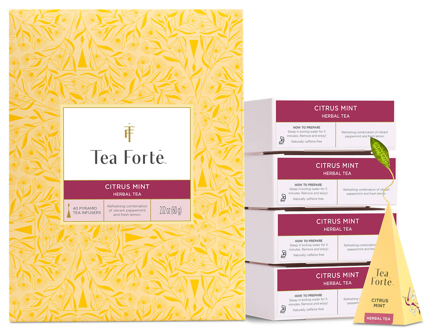 Citrus Mint Event Box 40ct, open with infuser