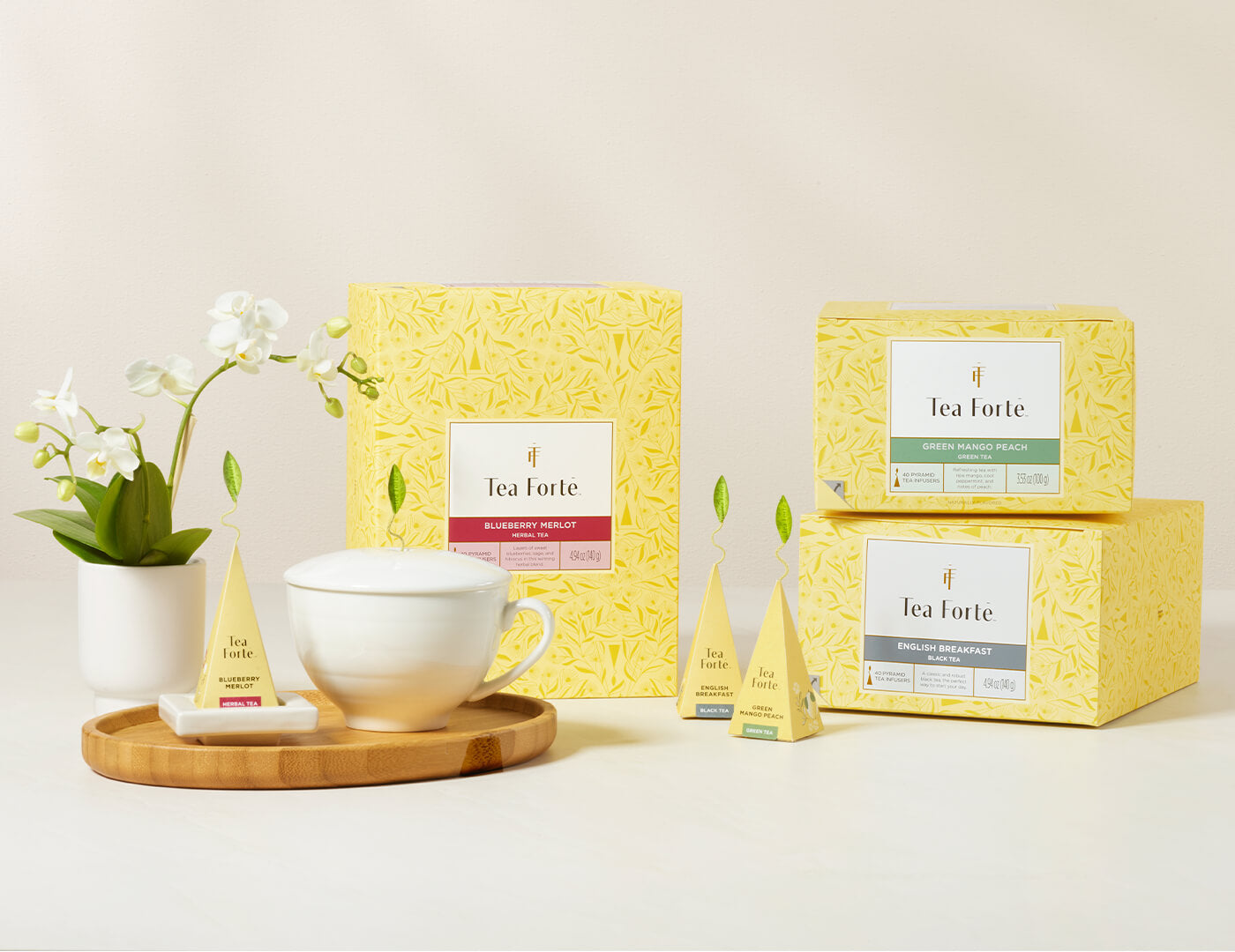 Assorted Event Boxes 40ct, open with infuser and Café Cup