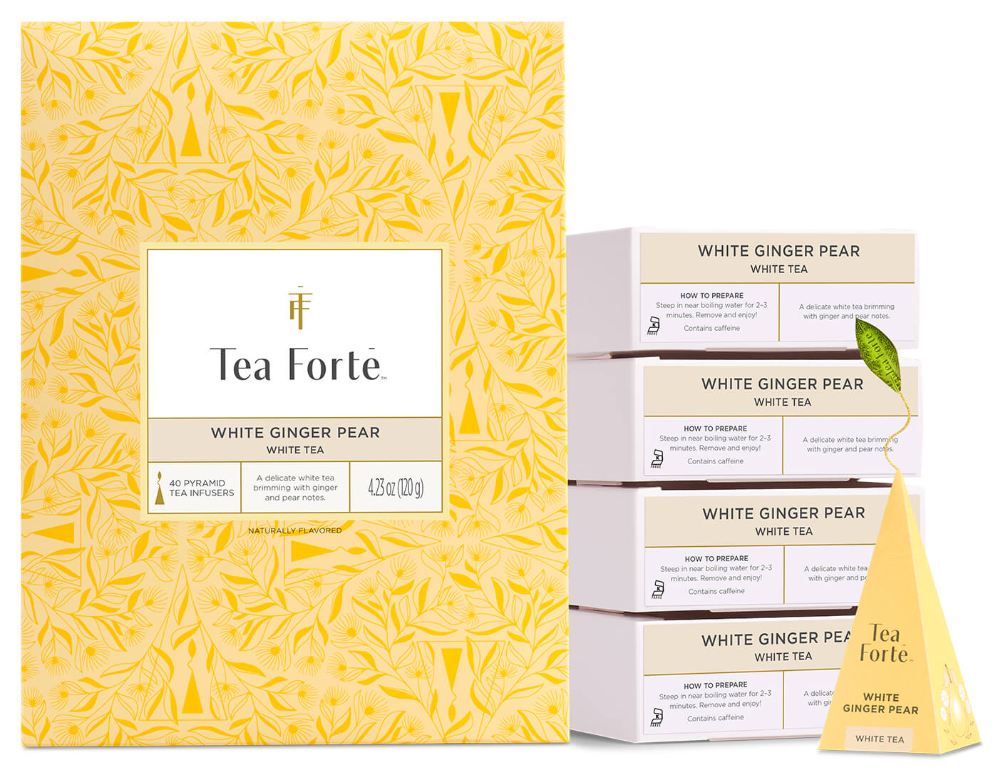 White Ginger Pear Event Box 40ct, open with infuser
