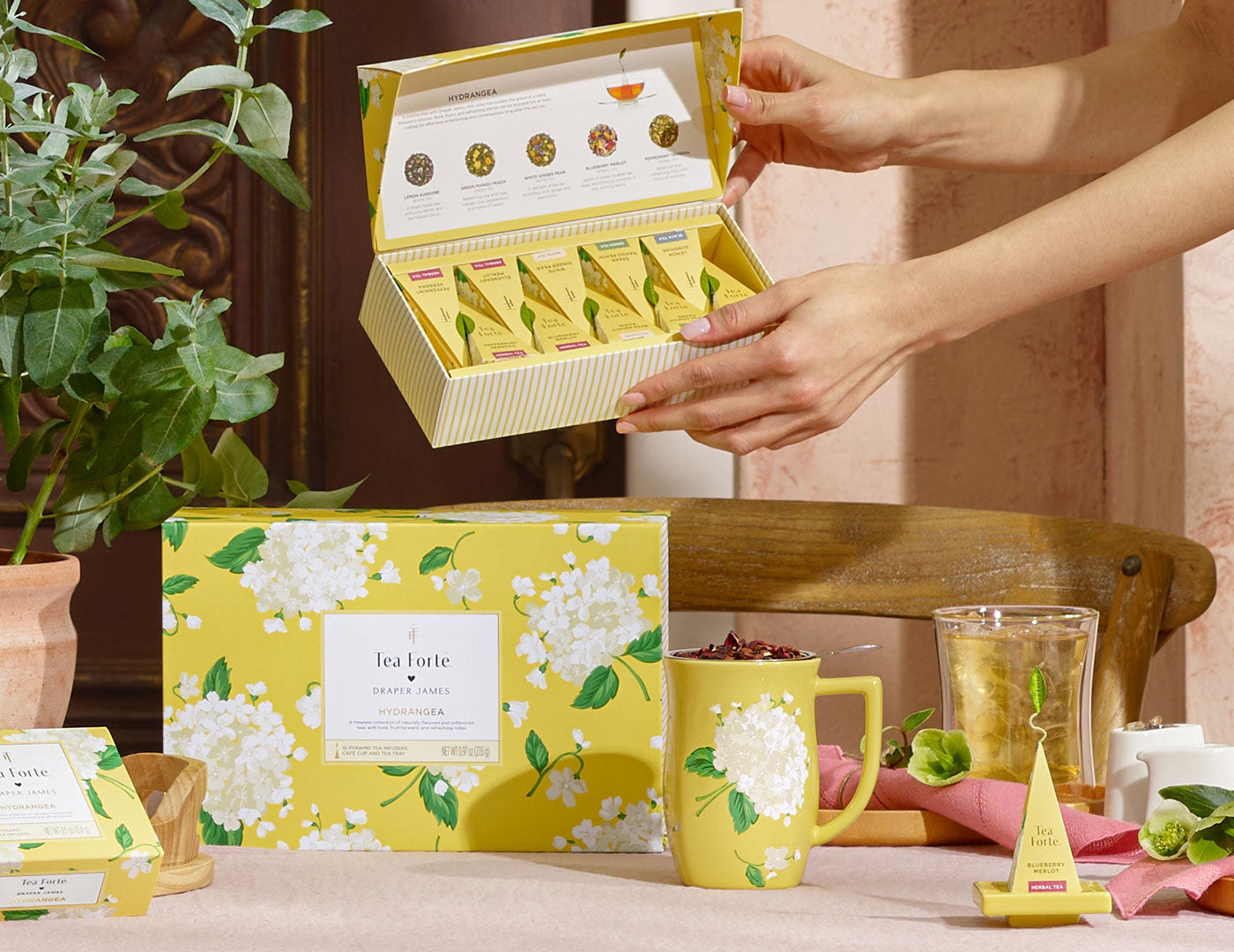 Woman holding a Hydrangea Petite Presentation Box over a spring table of Hydrangea items from the Gift Set, along with other teacups and plants 