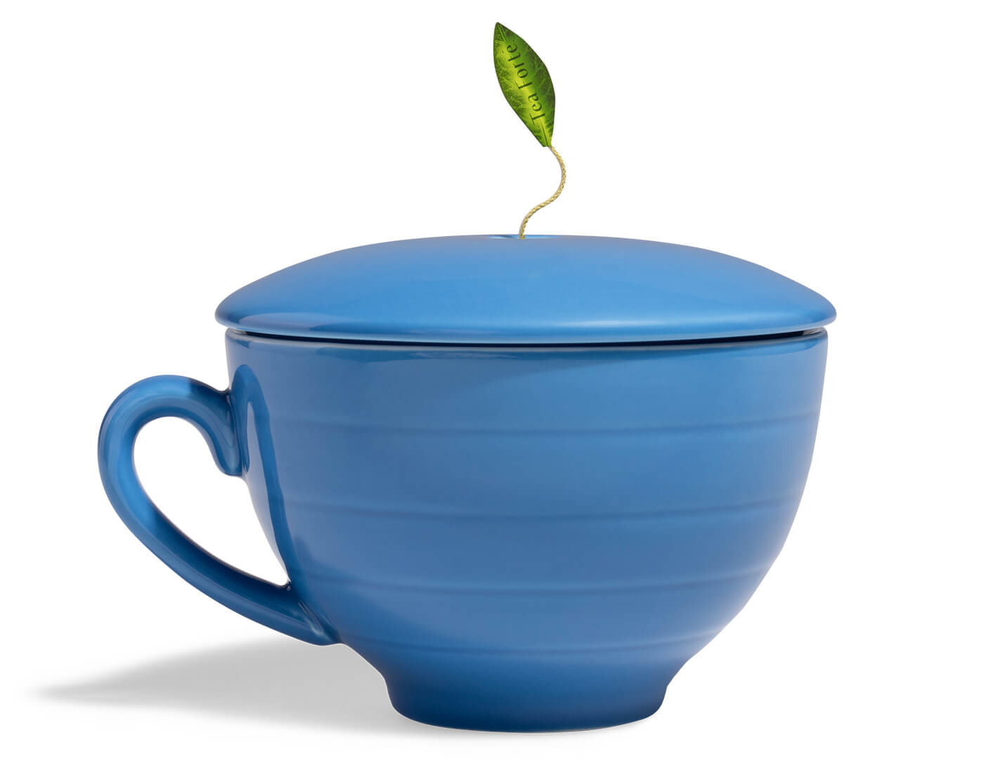Demoiselle Café Cup in Mystic Blue, with lid on