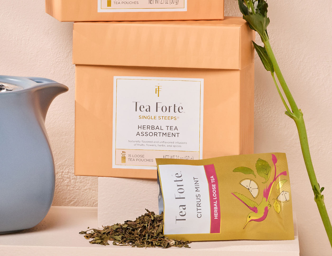 Herbal Tea Tasting Assortment Single Steeps Sampler box of 15 Single Steeps pouches - front of box with open pouch and teapot