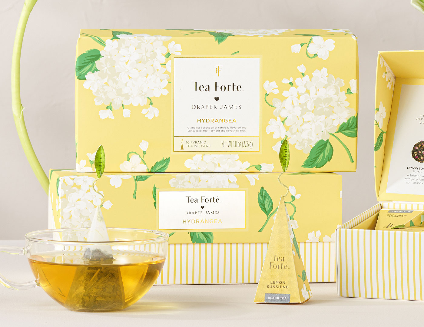 Volare Presentation Boxes, closed and stacked, with glass of tea in front and pyramid tea infuser