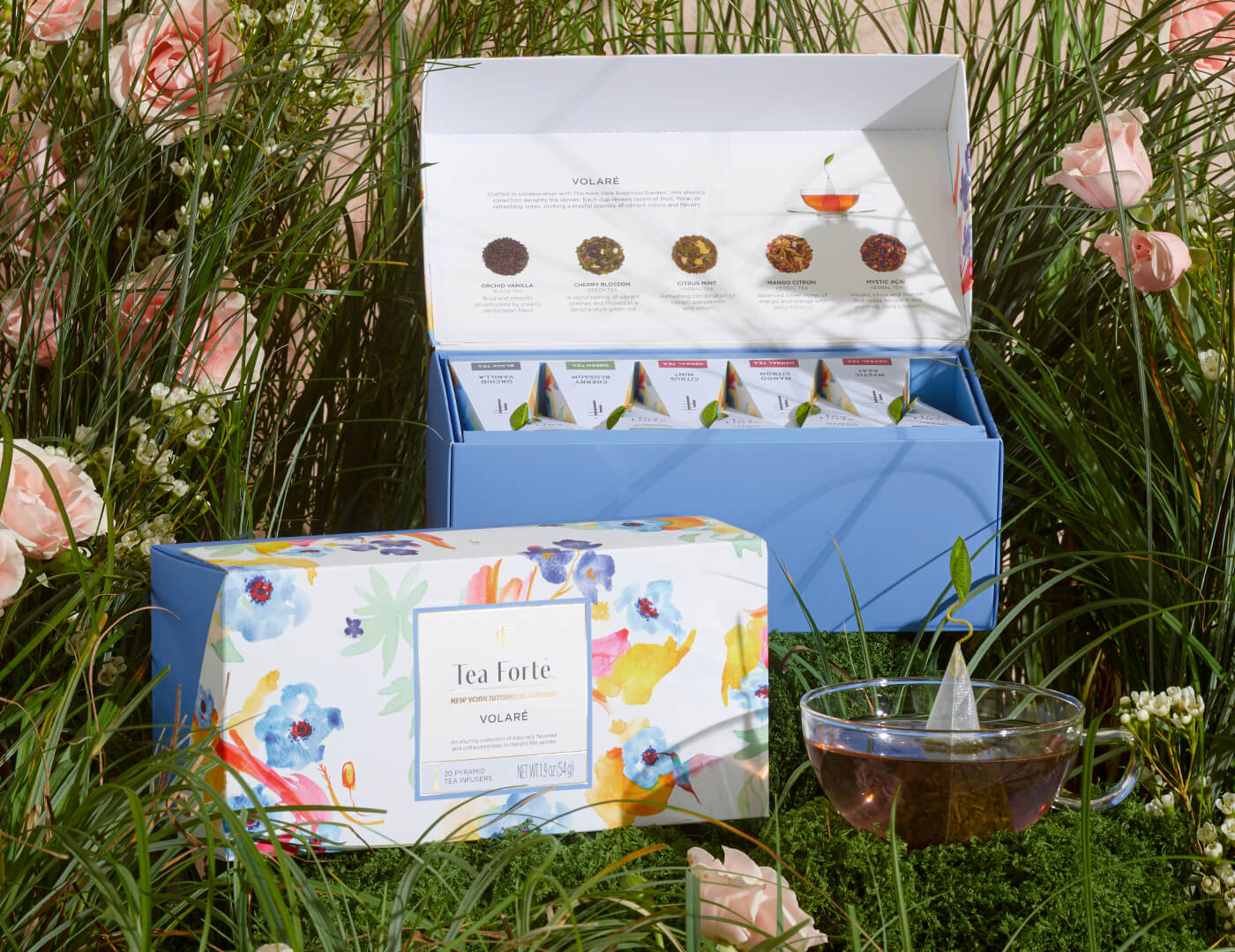 Volare Presentation Boxes, open and closed box, of 20 pyramid teas each, in the grass with a cup of tea
