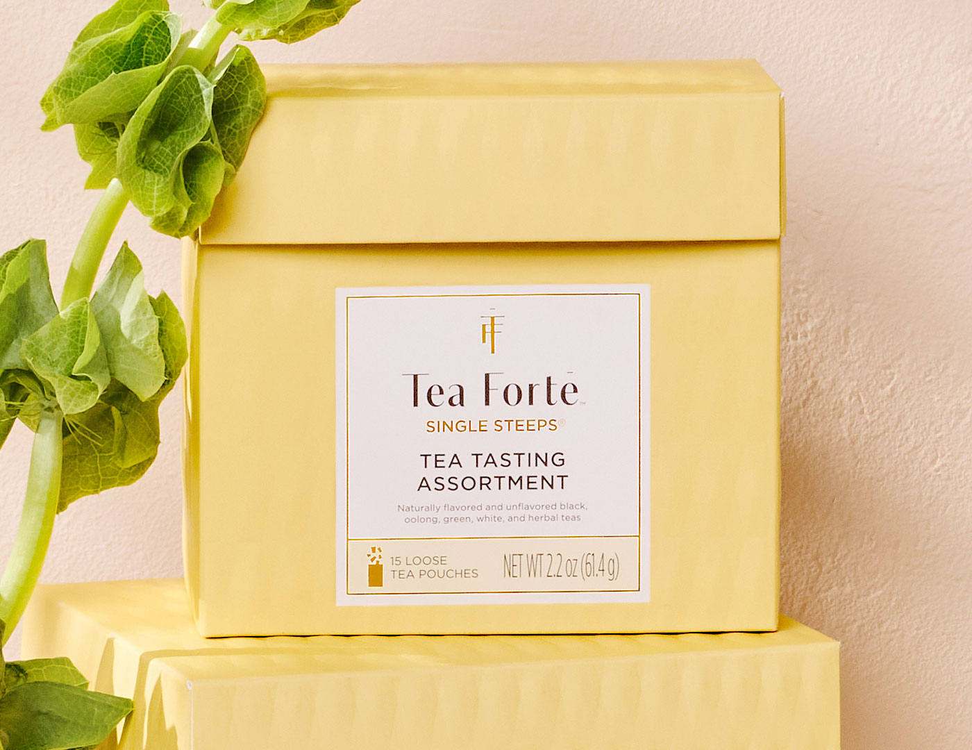 Tea Tasting Assortment Single Steeps Sampler box of 15 Single Steeps pouches - front of box with greenery