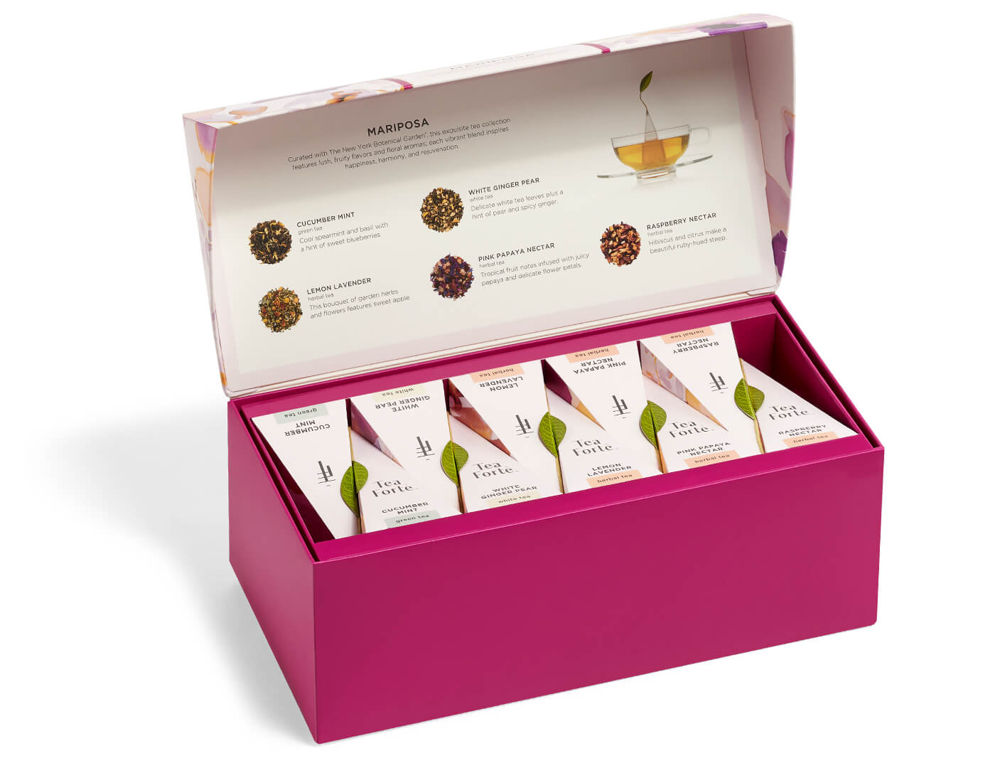 Mariposa Presentation Box of 20 pyramid tea infusers, open lid