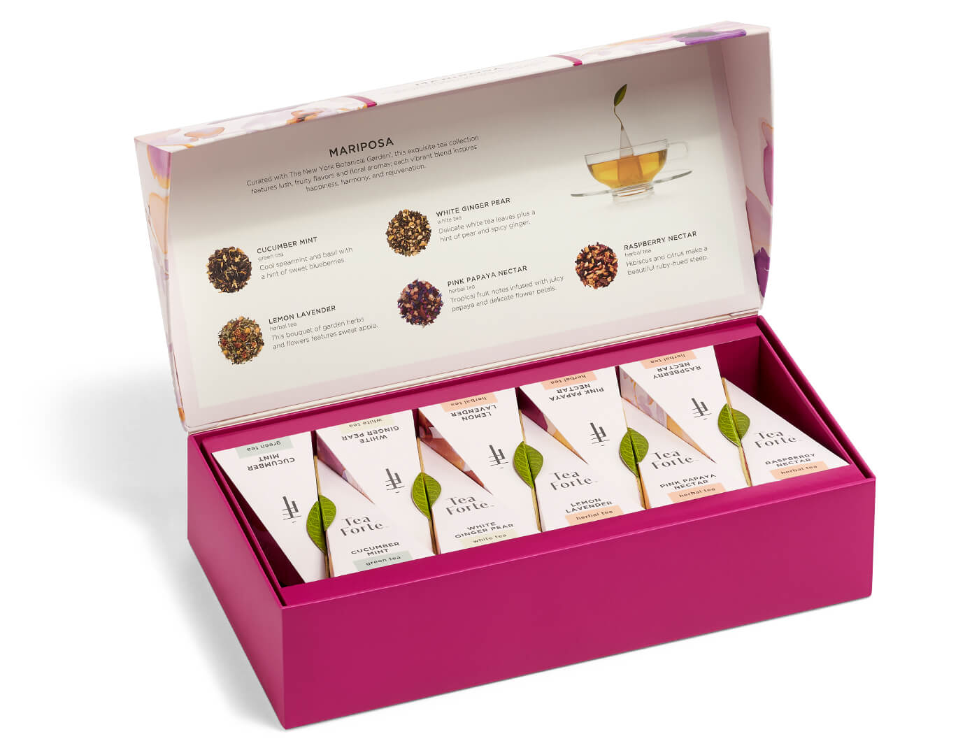 Mariposa Petite Presentation Box of 10 pyramid tea infusers, open