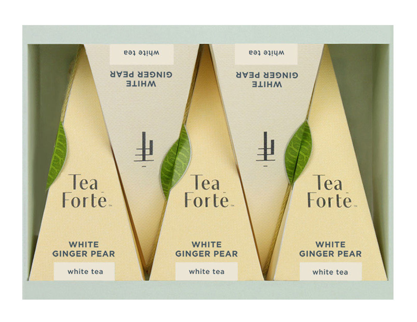 White Ginger Pear, Box of 5 pyramid infusers