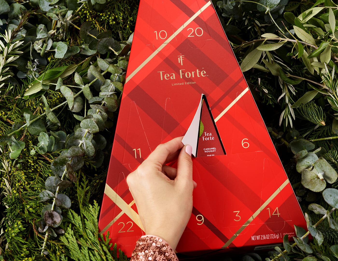 A female hand opens a door on a Warming Joy Advent Calendar with a background full of greenery. 