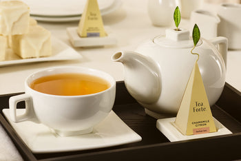SOLSTICE PRESENTATION set on a table