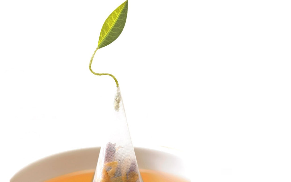 Close view of a Tea Forté pyramid infuser steeping in a cup