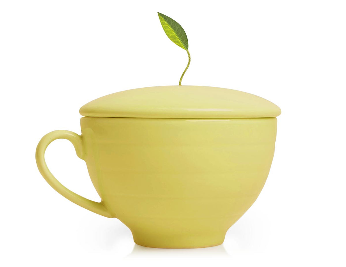 Soleil Gift Set LimitedEdition Tea Gifts Tea Forte