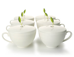 Café Cups - Set of Six